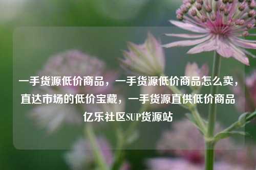 一手货源低价商品，一手货源低价商品怎么卖，直达市场的低价宝藏	，一手货源直供低价商品亿乐社区SUP货源站  第1张